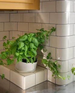 Kakel H&E Smith Subway Half Tile utvändig kantbåge Snowdrop