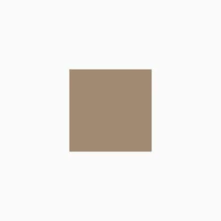 Klinker Victorian Floor Tiles kvadrat 5x5 cm Regency Bath