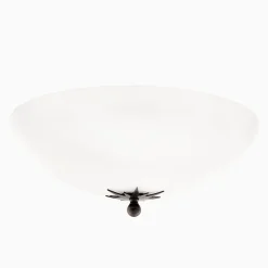 Plafond Stjärna