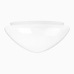 Plafondglas kon opal