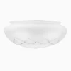Plafondglas svamp etsat