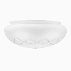 Plafondglas svamp etsat